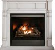 Empire Comfort Systems Fireplace Lovely Fireplace Results Home & Outdoor