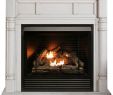 Empire Comfort Systems Fireplace Lovely Fireplace Results Home & Outdoor