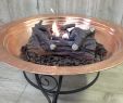 Endless Summer Outdoor Fireplace Inspirational Pomegranate solutions Oak Gel Fuel Outdoor Log Set