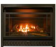 Enviro Fireplaces Unique Pro Fireplaces 29 In Ventless Dual Fuel Firebox Insert