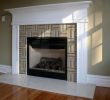 Fake Fireplace Insert Fresh Fireplace Insert Installation Gas Electric and Wood