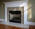 Fake Fireplace Insert Fresh Fireplace Insert Installation Gas Electric and Wood