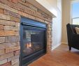 Ferguson Fireplace Lovely 597 Lazy Oak Trail 42 Holland Mi Century 21 White