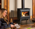 Fireboxes for Wood Burning Fireplaces Awesome Evergreen Lopi Stoves
