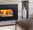 Fireboxes for Wood Burning Fireplaces Elegant Wood Inserts Epa Certified