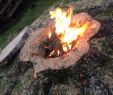 Fireplace ash Can Awesome Tree Stump Transformed Into An Awesome Fire Pit Plete