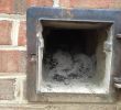 Fireplace ash Dump Door Unique Chimney Cleanout Doors & Chimney Cleanout Door Hazards C