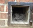 Fireplace ash Dump Door Unique Chimney Cleanout Doors & Chimney Cleanout Door Hazards C