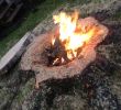 Fireplace ashes In Garden Awesome Tree Stump Transformed Into An Awesome Fire Pit Plete