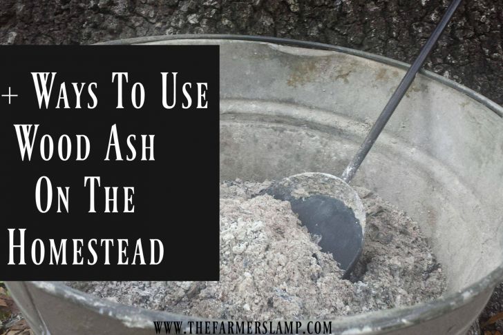 Fireplace ashes In Garden Lovely 10 Ways to Use Wood ash the Homestead