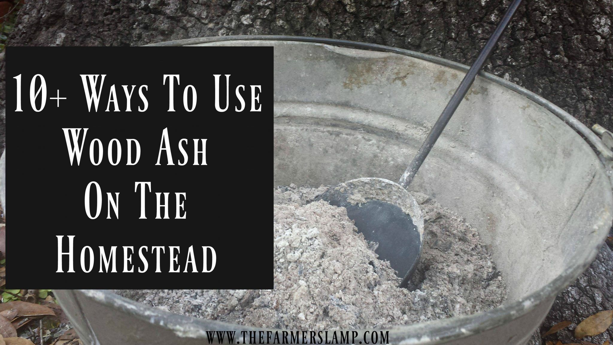 Fireplace ashes In Garden Lovely 10 Ways to Use Wood ash the Homestead