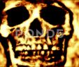 Fireplace Background New Skull Close Up In A Fire Like Background 4k Stock Footage