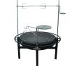 Fireplace Bellows Home Depot Inspirational Dutch Oven Accessories