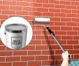 Fireplace Brick Sealer Inspirational How to Remove Efflorescence From Brick 10 Steps Wikihow