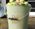 Fireplace Bucket New Personalised Laurel Green Home and Garden Bucket