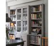 Fireplace Cleanout Door Beautiful Ikea Havsta Storage Bination W Glass Doors Gray