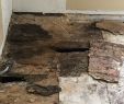 Fireplace Crack Repair Beautiful Bathroom Repairs