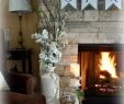 Fireplace Craft Fresh if You Read My Last Post You May Have Noticed My Spring