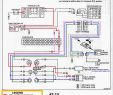 Fireplace Diagram Fresh Wiring Diagram Book