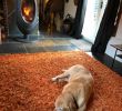 Fireplace Dogs Elegant Charney Bassett tourism 2019 Best Of Charney Bassett