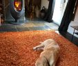 Fireplace Dogs Elegant Charney Bassett tourism 2019 Best Of Charney Bassett