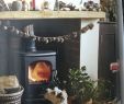 Fireplace Dogs Elegant Pinecone Garland Home Fireplaces and Stoves
