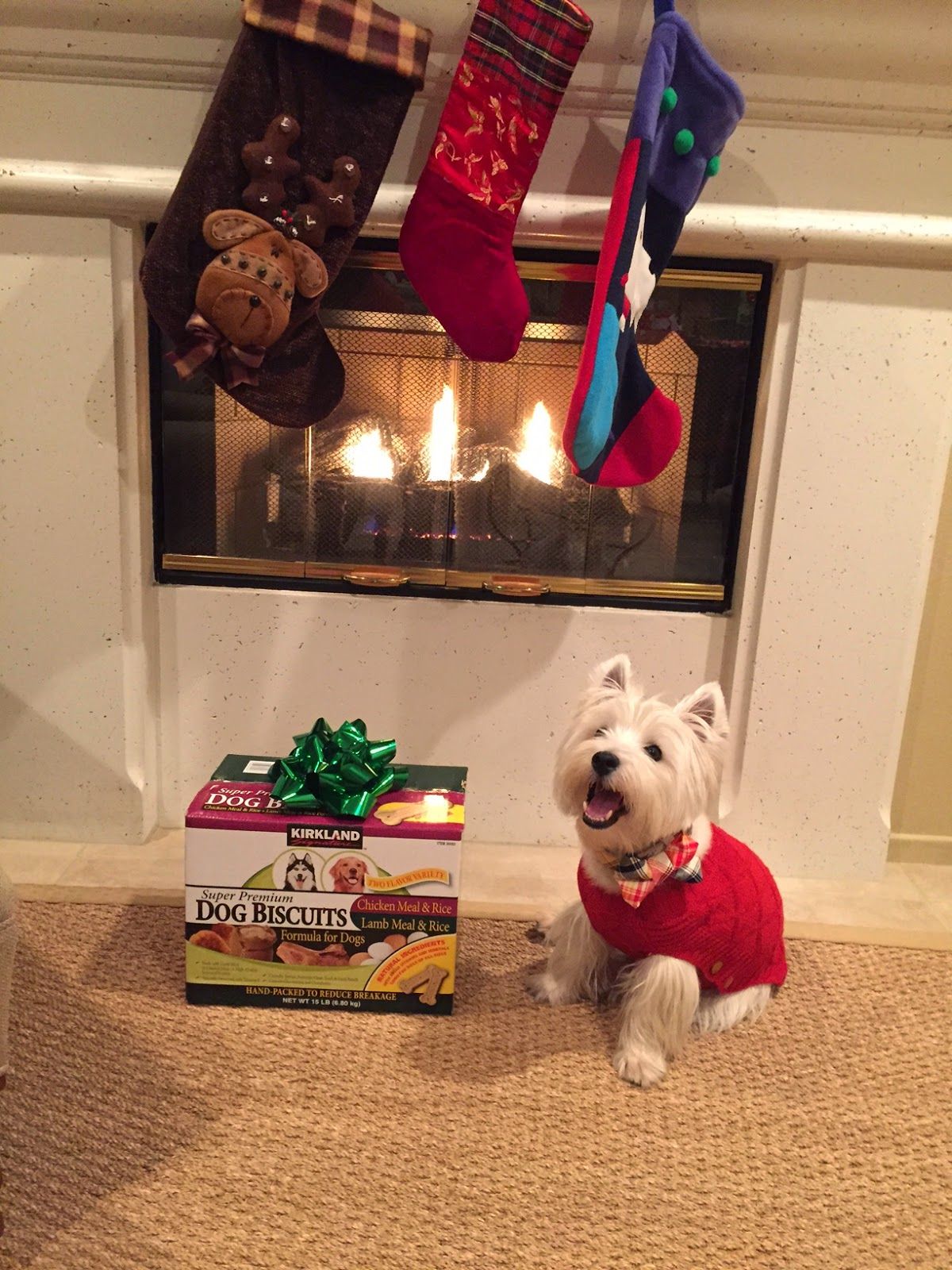 The White Dog Blog Do you see me Santa 7b0d bef3f7a610fb