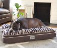 Fireplace Dogs Lovely the Simmons Beautyrest Luxe Mat Plus Rectangle Dog Bed