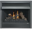 Fireplace Door Parts Elegant Lennox Gas Fireplace Parts Canada Gas Fireplace Parts Simple