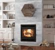 Fireplace Door Size Chart Awesome Ambiance Fireplaces and Grills