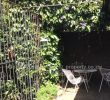 Fireplace Fence Lovely 2 Bed Garden Flat for Sale In Avondale the Ridge