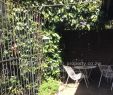 Fireplace Fence Lovely 2 Bed Garden Flat for Sale In Avondale the Ridge