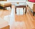 Fireplace Floor Protector Fresh 26 Famous Hardwood Floor Protectors for Beds