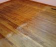 Fireplace Floor Protector Unique 26 Famous Hardwood Floor Protectors for Beds