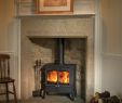 Fireplace Fuel Unique Esse 100 Double Door Multifuel Stove Kamin