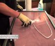 Fireplace Gasket Luxury How to Clean Fireplace Glass Video