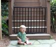 Fireplace Gate for Baby Proofing Elegant Outdoor Safety Gate Model Ss 30od