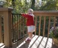 Fireplace Gate for Baby Proofing New Outdoor Safety Gate Model Ss 30od