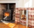 Fireplace Hearth Cushions Inspirational Tweed Dog Crate Cover Crate Cushion and Crate
