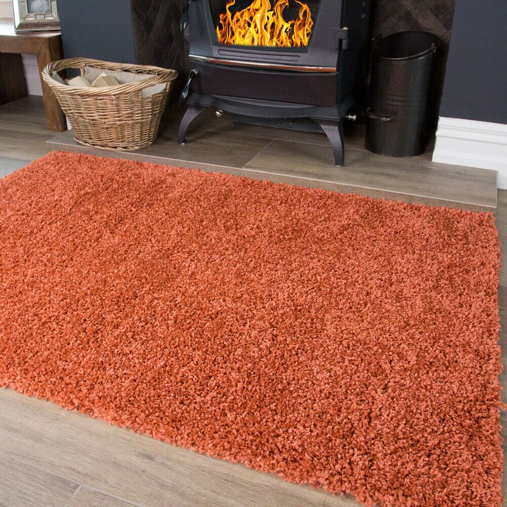 Fireplace Hearth Mat Beautiful soft Warm Plain Coral Pink Shaggy Rugs Small Fluffy