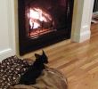 Fireplace Hearth Slab Luxury 18 Fantastic Hardwood Floors Around Brick Fireplace Hearths