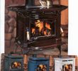 Fireplace Heat Shield Fresh Colorful Enamel Woodstoves