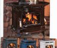 Fireplace Heat Shield Fresh Colorful Enamel Woodstoves