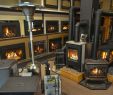 Fireplace Insert Repair Near Me Best Of Lisac S Fireplaces and Stoves Portland oregon