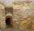 Fireplace Lincoln Ne New Blue Blood Brewing Closes Suddenly at Robber S Cave Site In