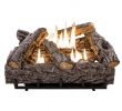 Fireplace Logs Home Depot Elegant 24 In Timber Creek Vent Free Dual Fuel Gas Log Set with thermostat