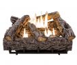 Fireplace Logs Home Depot Elegant 24 In Timber Creek Vent Free Dual Fuel Gas Log Set with thermostat