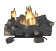 Fireplace Logs Home Depot Fresh Savannah Oak 24 In Vent Free Natural Gas Fireplace Logs with Remote