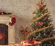 Fireplace Mn Beautiful History Of the Holidays Customs and Traditions Handed Down