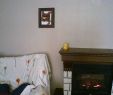 Fireplace Pan New ÐÐ°ÑÑÐ¸Ð½Ð° Ð°Ð Ð¼Ð°Ð·Ð½Ð°Ñ Ð¶Ð¸Ð²Ð¾Ð¿Ð¸ÑÑ Ð°Ð Ð¼Ð°Ð·Ð½Ð°Ñ Ð²ÑÑÐ¸Ð²ÐºÐ° ÑÐ¾Ð²Ð° ÑÑÐ½ÑÐµÐ·Ð¸ – ÐºÑÐ¿Ð¸ÑÑ Ð½Ð° Ð¯ÑÐ¼Ð°ÑÐºÐµ ÐÐ°ÑÑÐµÑÐ¾Ð² – I426xru